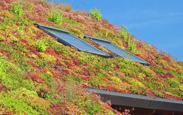 Marske By The Sea living roof systems